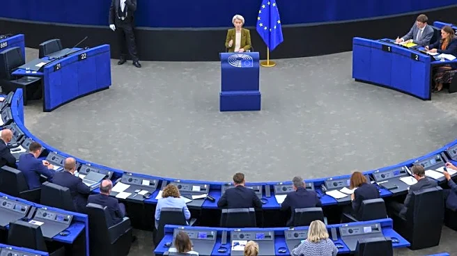 EU secured best possible trade deal with US, says EU chief