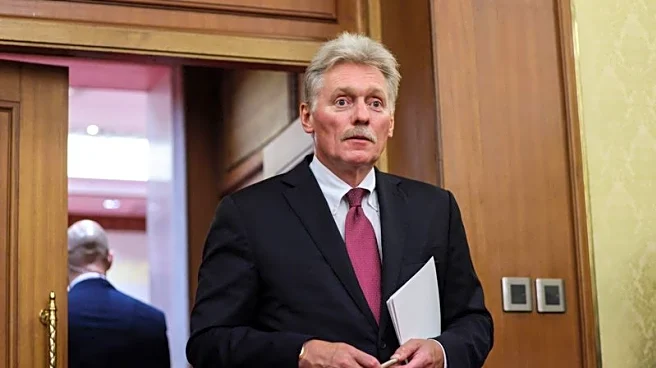 Kremlin declines to comment on drone incident in Poland