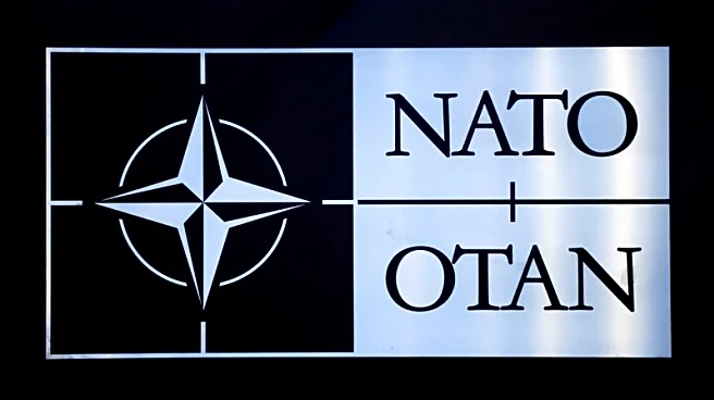 Explainer-NATO Articles 4 and 5: could Ukraine war trigger alliance defence obligations?