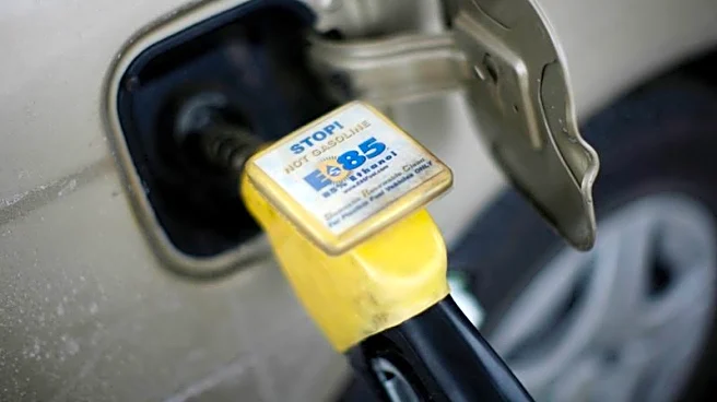 Exclusive-US biofuel plan would reallocate half or less of waived blending quotas, sources say