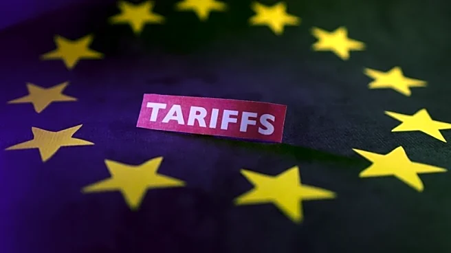 EU is unlikely to hike tariffs on India, China at Trump's request