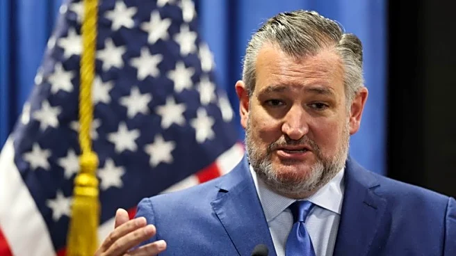 US Senator Cruz proposes AI "sandbox" to ease regulations on tech companies