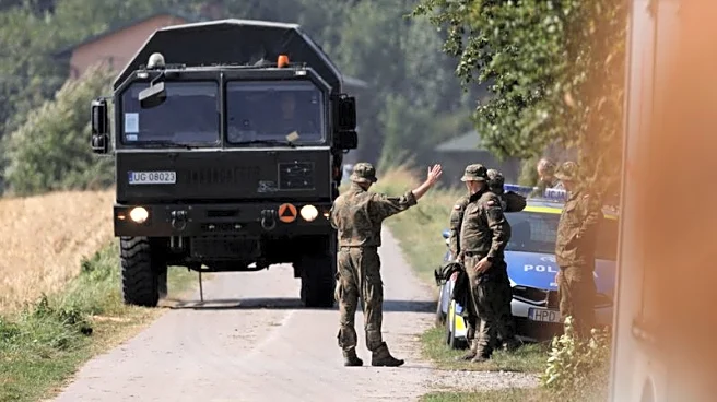 Factbox-What are the Gerbera drones used in Poland incursion?
