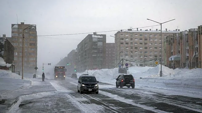 Ticket to the Arctic: Inside Russia's system of convict labour