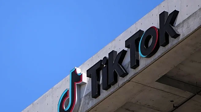 French lawmaker asks prosecutor to probe TikTok for 'endangering the lives' of users