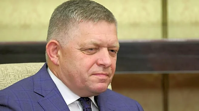 Slovak leader Fico sets conditions for backing more Russia sanctions