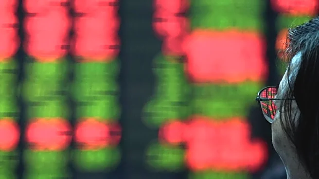 China investors seen looking past Cambricon index rebalance, staying bullish on AI