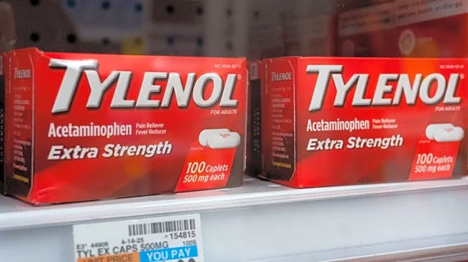 Kenvue CEO lobbied RFK Jr. not to cite Tylenol as autism cause, WSJ reports