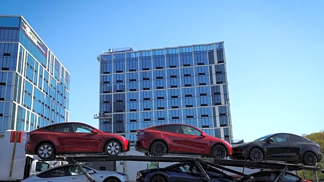 Tesla chair says Musk's political activity 'up to him,' dismisses concerns