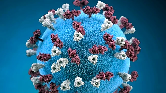 LA County reports child died from rare measles complication after infection in infancy