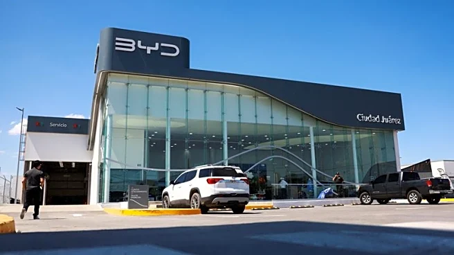 Analysis-BYD and Tesla set to lose most from Mexico's proposed tariffs on China