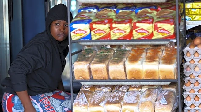Sub-Saharan Africa's major economies hit by high finance costs, Moody's says