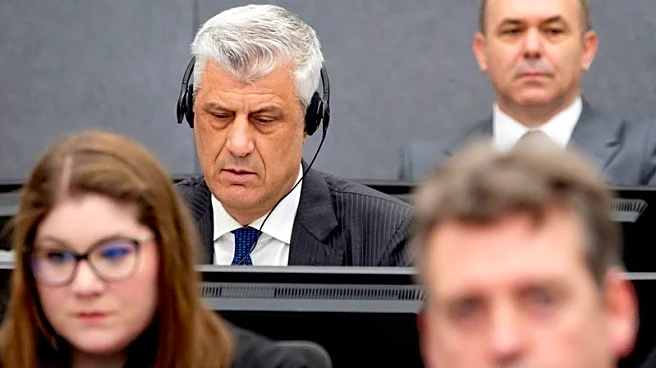 Ex-diplomat says Thaci lacked control over KLA in Kosovo war crimes trial