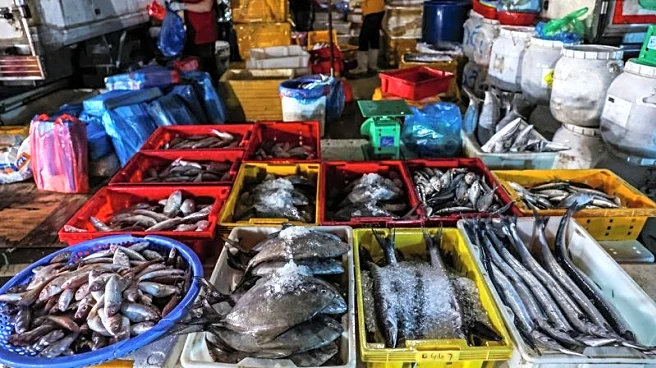 Vietnam asks United States to reconsider seafood export ban