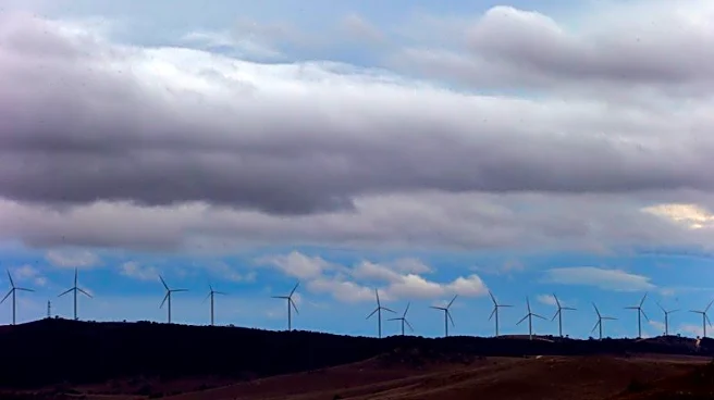 Australia delays first offshore wind auction as global investment retreats