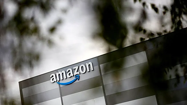NTSB, FAA to probe crashes of two Amazon delivery drones