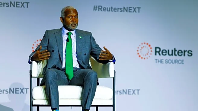 Trade with Africa not a game of Minecraft, says Nigerian minister