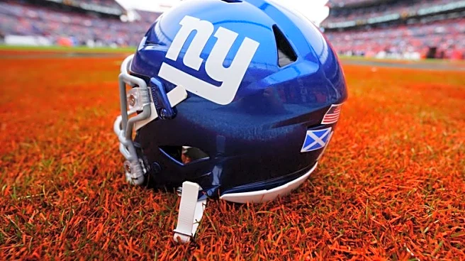 NFL approves 10% sale of Giants to Julia Koch and family