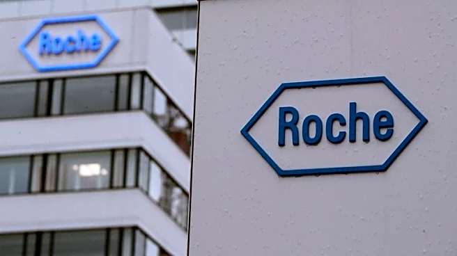 Roche raises profit view, but weak dollar weighs on sales