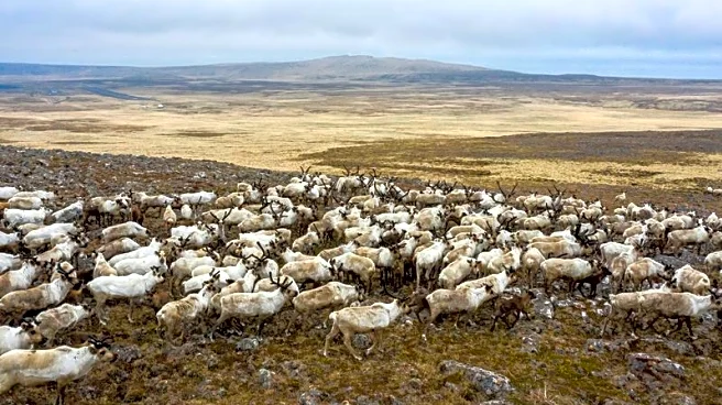 US reopens Alaska wildlife refuge to oil and gas development