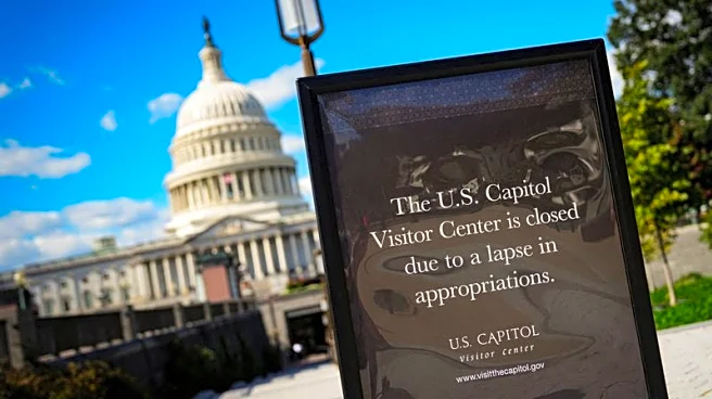 US government shutdown will inflict temporary pain to economy