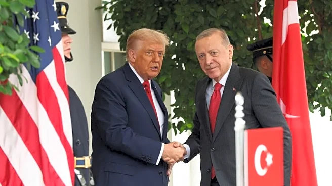 Erdogan says U.S., others must press Israel to abide by Gaza ceasefire