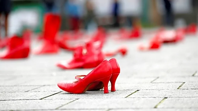 Netherlands must better recognise role of gender in domestic violence, expert body says