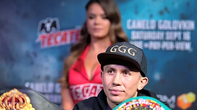 Boxing-Golovkin to run for World Boxing presidency