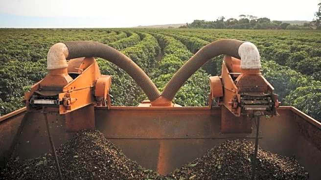EU deforestation law proposal frustrates Brazilian exporters, Rabobank says
