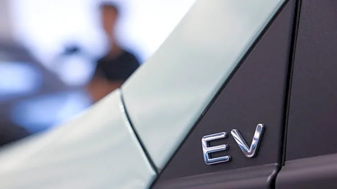 Analysis-China signals it will pull plug on subsidies for EVs with five-year plan exclusion