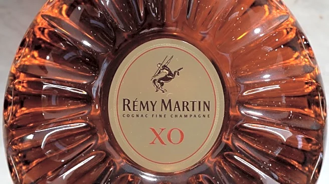 Remy Cointreau cuts full-year outlook as China cognac sales continue to slide