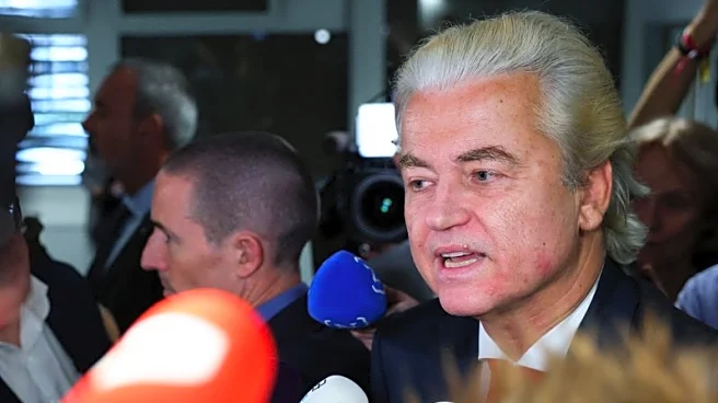 Wilders' election losses do not herald decline of European far-right