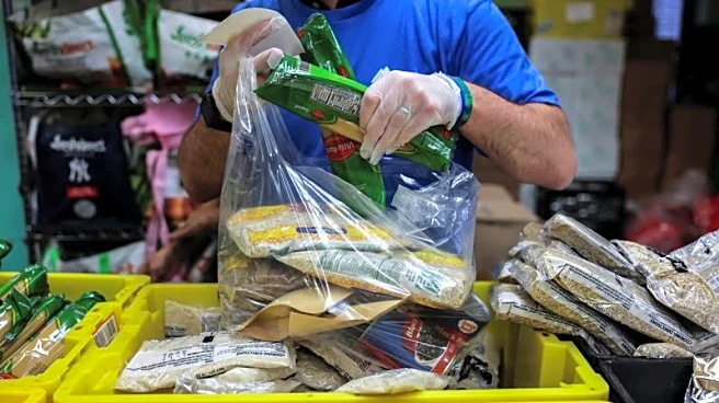 New York declares state of emergency to fund food banks as federal food aid set to lapse