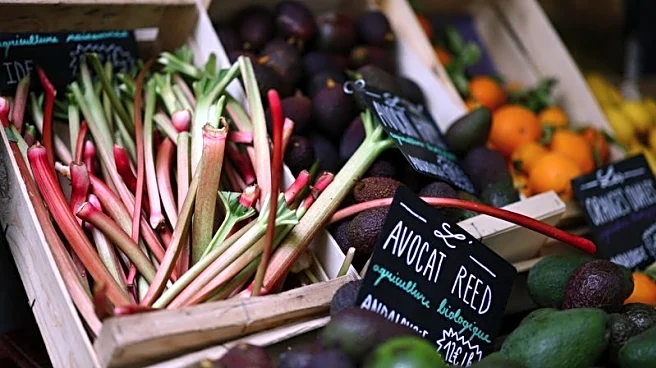 French inflation slows in October as energy prices drop