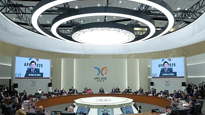 APEC official says member countries working hard for consensus on trade