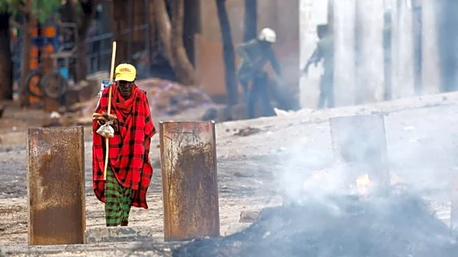 Tanzania opposition says hundreds killed in vote protests, UN calls for probe