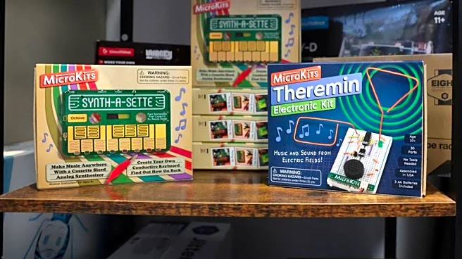 A toy maker takes his case against Trump's tariffs to the Supreme Court