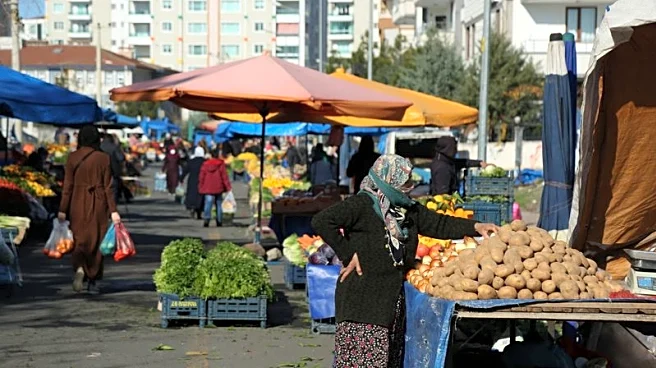 Turkey inflation dips more than expected to less than 33%
