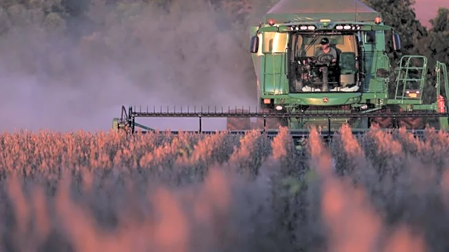 Chinese buyers purchase Brazilian soybeans as prices ease over US-China trade thaw