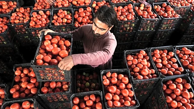 Pakistan October inflation rises to 6.2%, highest in 12 months