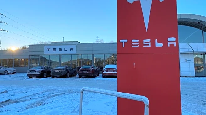 Tesla sales plunge again in some European markets in October