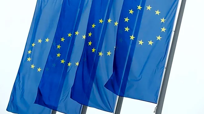 European banks increase reliance on US dollar funding, EU regulator finds