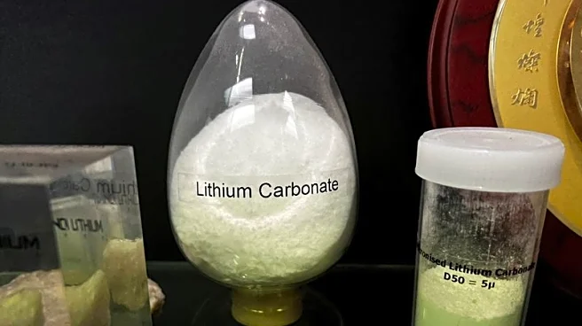 TechMet to add to portfolio, fears Europe losing battle for critical minerals