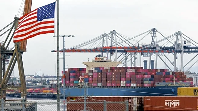 Factbox-Which of Trump's tariffs could the US Supreme Court strike down?