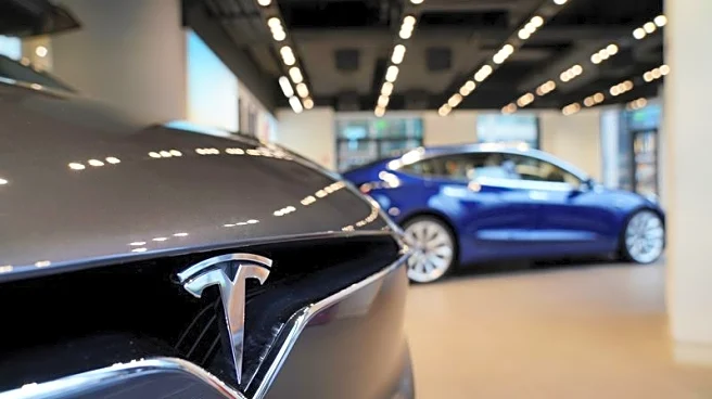 Norway wealth fund to vote against Musk's $1 trillion Tesla pay package