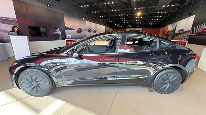 Tesla's China-made EV sales fall 9.9% y/y in October