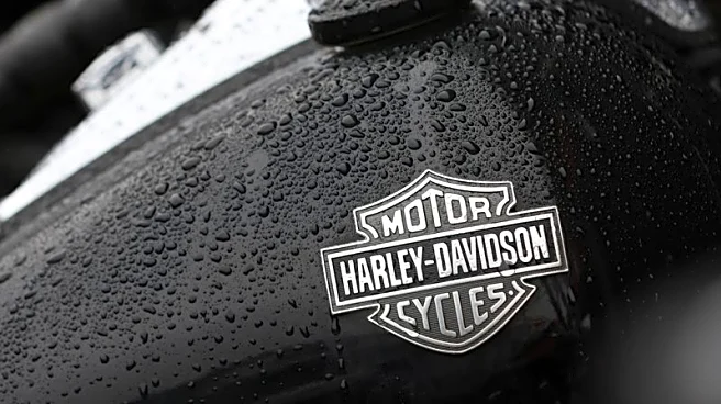 Harley-Davidson's third-quarter profit rises on custom touring model demand