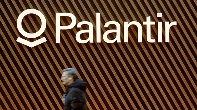 AI darling Palantir's bull run stalls despite strong revenue forecast