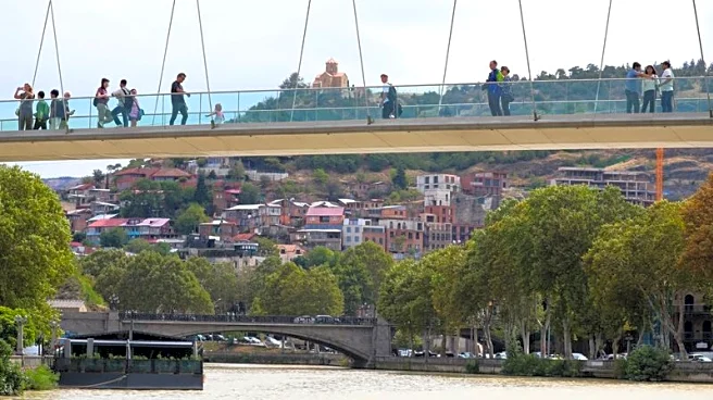 Georgia has gone backwards in bid to join EU, bloc's envoy says after 'devastating' report