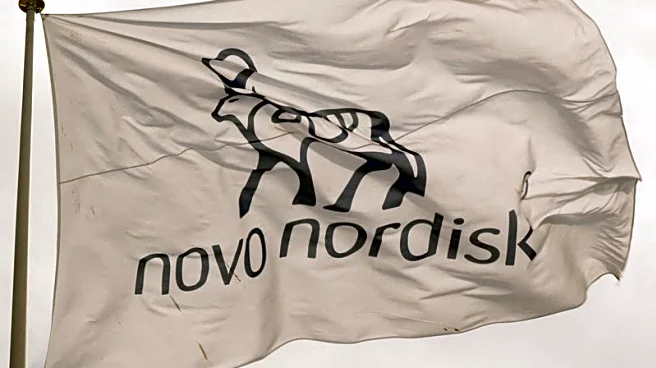Novo Nordisk lowers full-year profit guidance in new CEO's maiden quarter